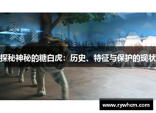 探秘神秘的糖白虎：历史、特征与保护的现状